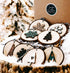 Wood slice Christmas ornaments set of 8 with snowflakes and trees, string hangers